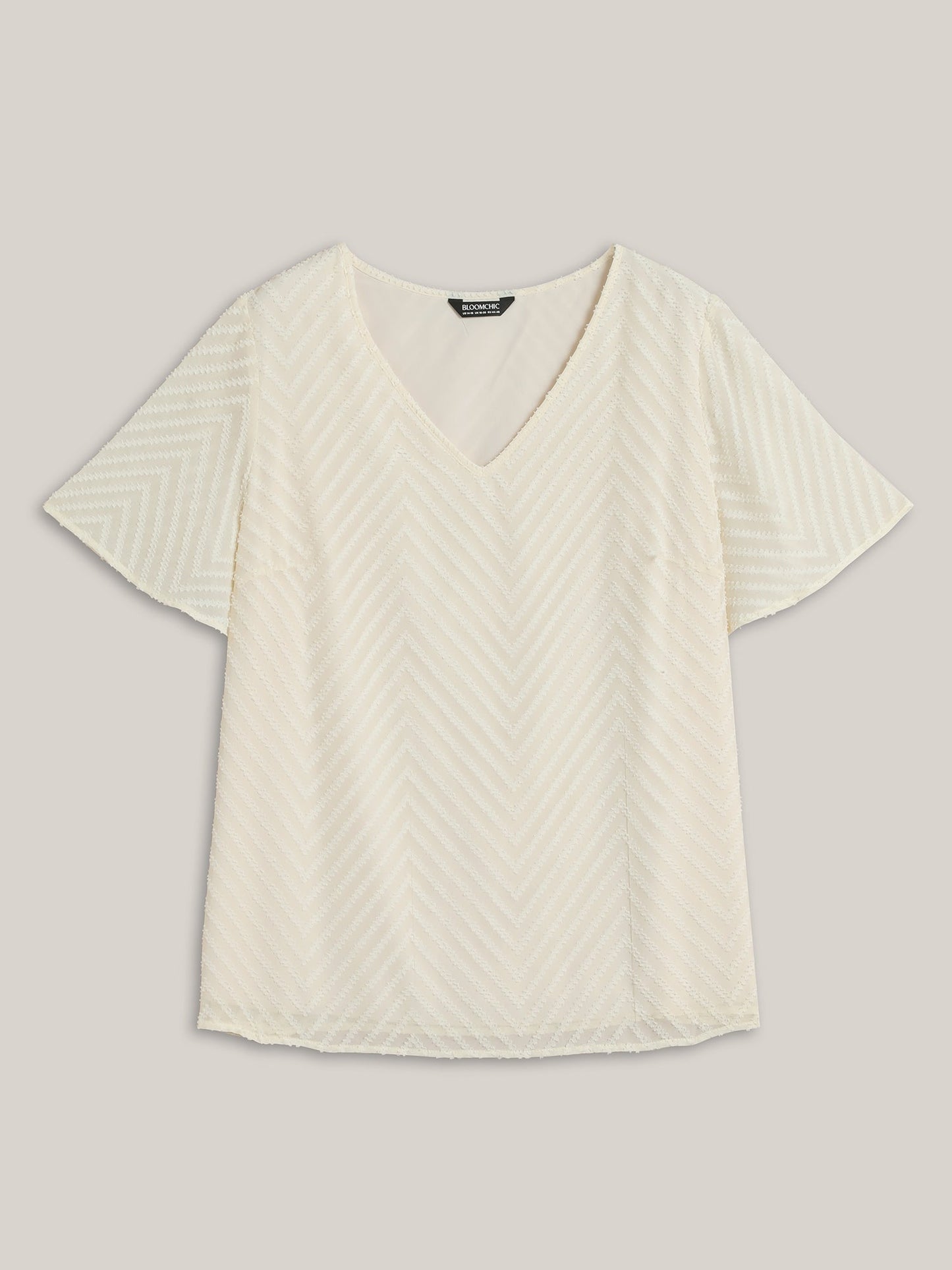 Textured Sheer Ruffled Sleeve Blouse